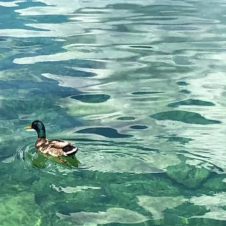 Daire Moderno Con Ampia Terrazza Castelletto Di Brenzone