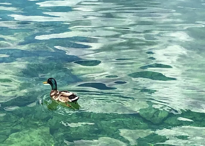 Apartman Moderno Con Ampia Terrazza Castelletto di Brenzone